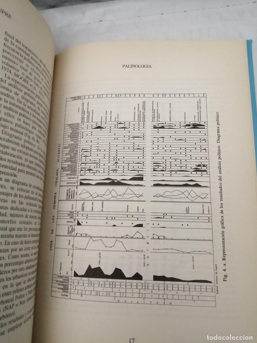 Libros de segunda mano: Palinolog&iacute;a (Cuadernos T&eacute;cnicos de la S.E.G., Num. 5) - Foto 3