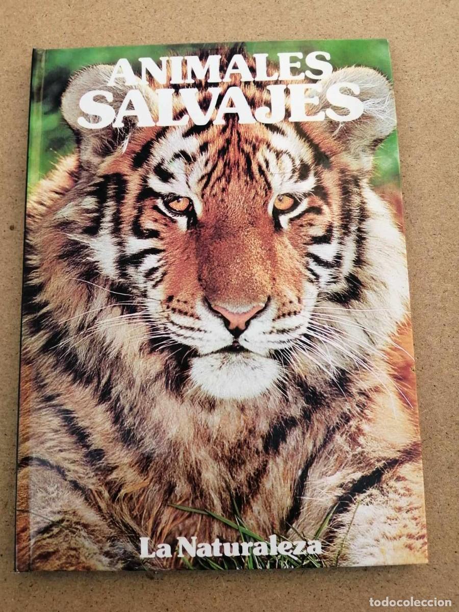 Libros de segunda mano: ANIMALES SALVAJES. LA NATURALEZA - Foto 1