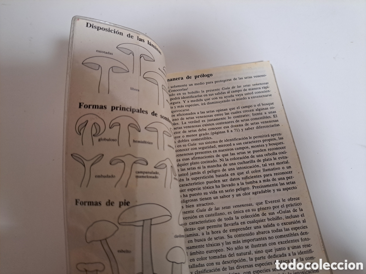 Libros de segunda mano: SETAS VENENOSAS - GU&Iacute;A DE LA NATURALEZA EVEREST - Foto 5