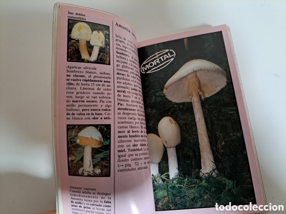 Libros de segunda mano: SETAS VENENOSAS - GU&Iacute;A DE LA NATURALEZA EVEREST - Foto 6