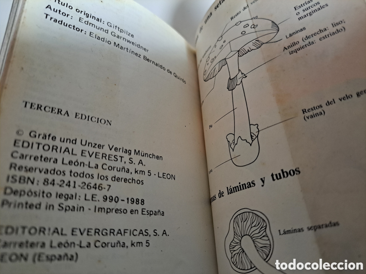 Libros de segunda mano: SETAS VENENOSAS - GU&Iacute;A DE LA NATURALEZA EVEREST - Foto 7