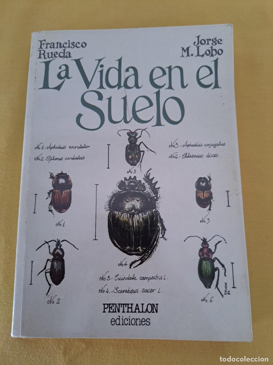 Libros de segunda mano: FRANCISCO RUEDA Y JORGE M. LOBO - LA VIDA EN EL SUELO - EDICIONES PENTHALON 1997 - Foto 2