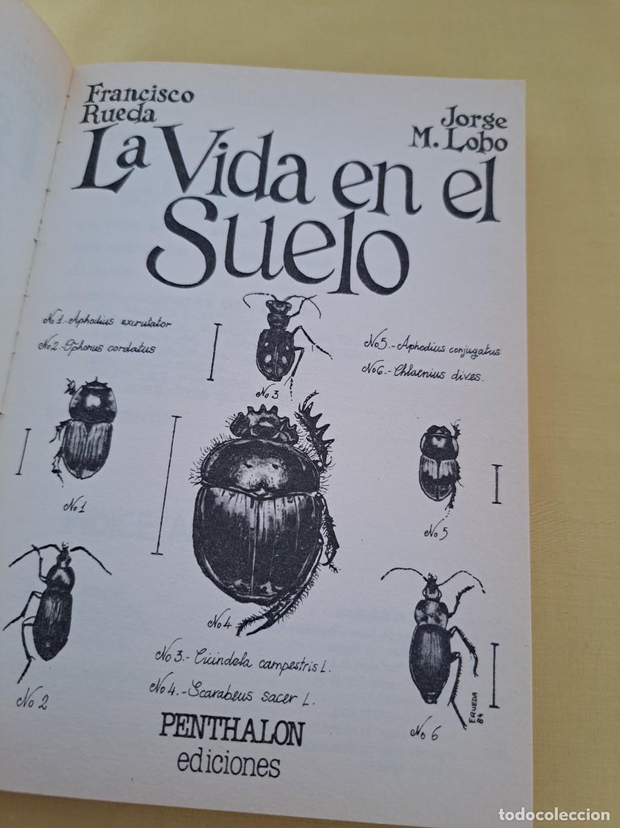 Libros de segunda mano: FRANCISCO RUEDA Y JORGE M. LOBO - LA VIDA EN EL SUELO - EDICIONES PENTHALON 1997 - Foto 3