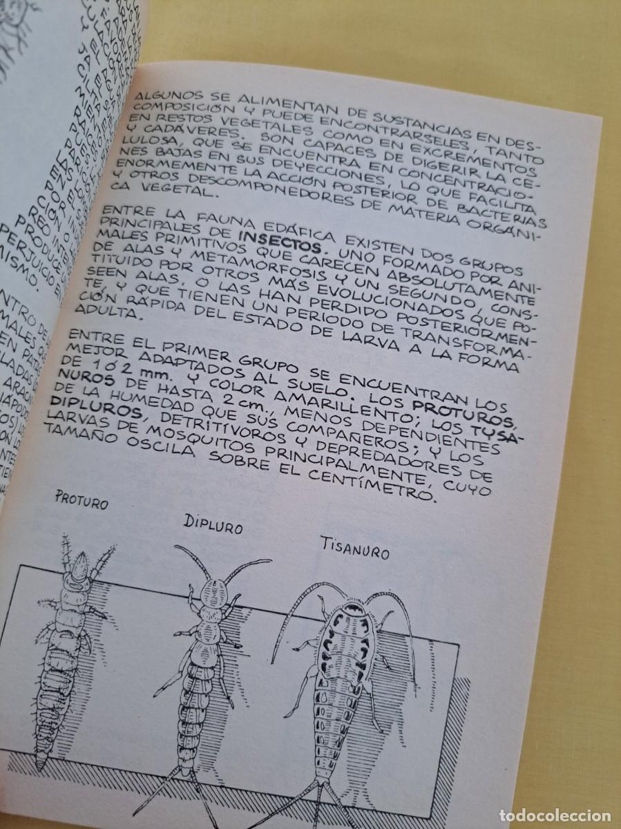 Libros de segunda mano: FRANCISCO RUEDA Y JORGE M. LOBO - LA VIDA EN EL SUELO - EDICIONES PENTHALON 1997 - Foto 7