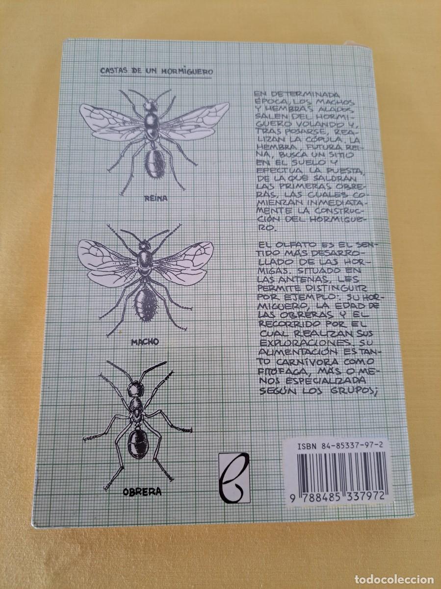 Libros de segunda mano: FRANCISCO RUEDA Y JORGE M. LOBO - LA VIDA EN EL SUELO - EDICIONES PENTHALON 1997 - Foto 8