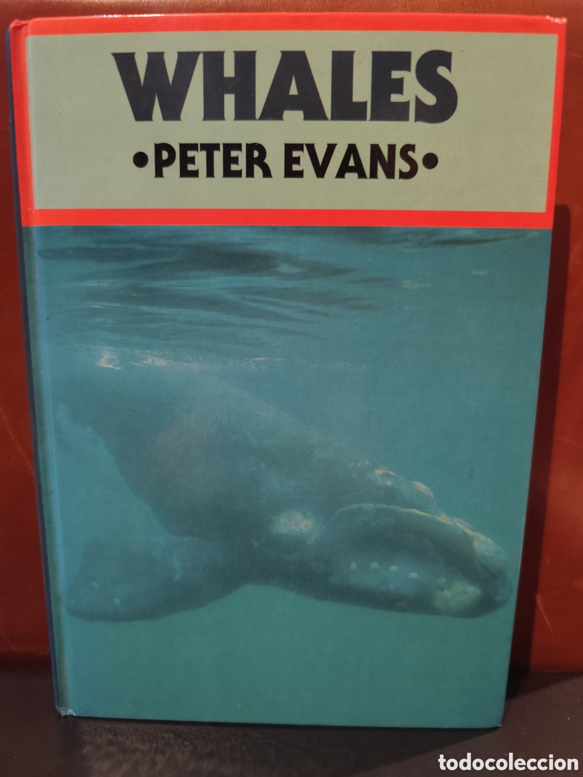 Libros de segunda mano: Whales. Peter Evans. - Foto 1