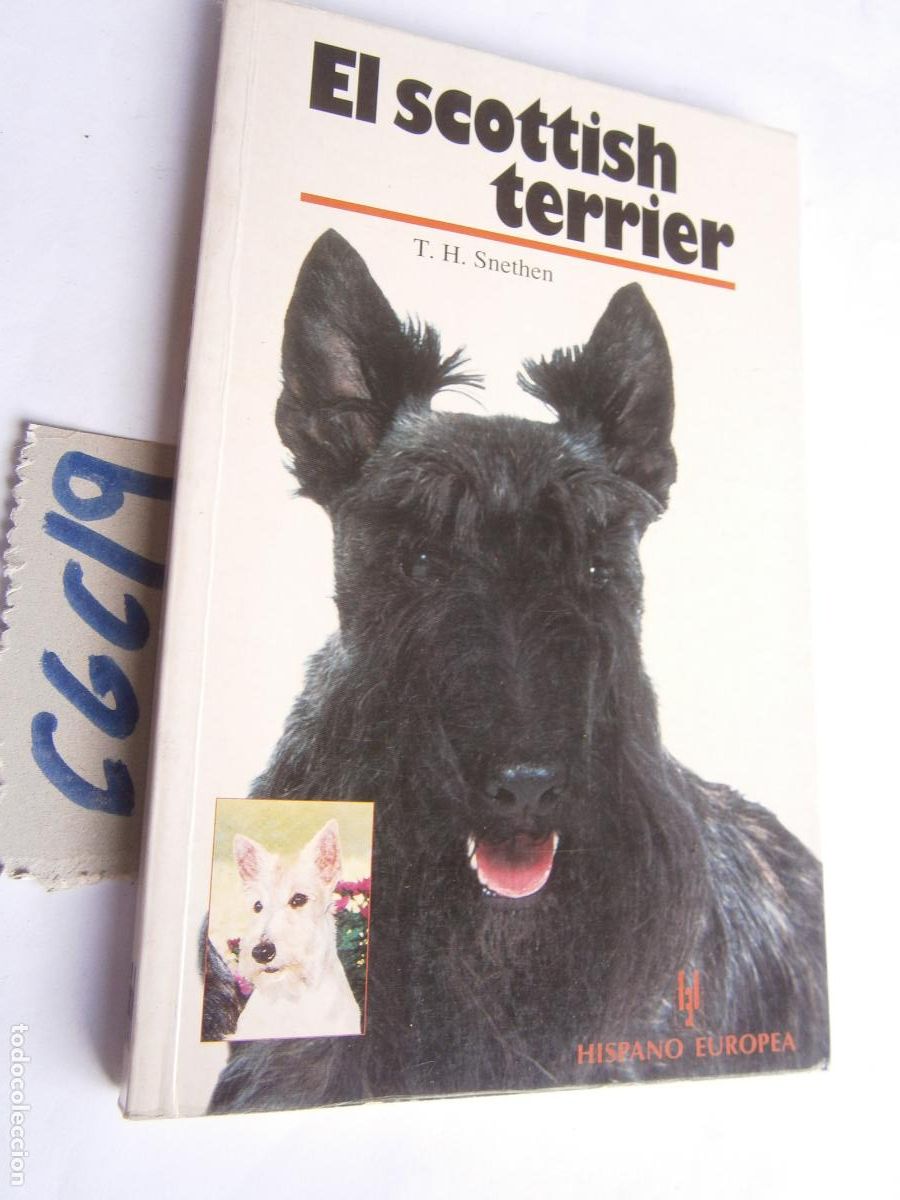 Libros de segunda mano: --- EL SCOTTISH TERRIER --- - Foto 1