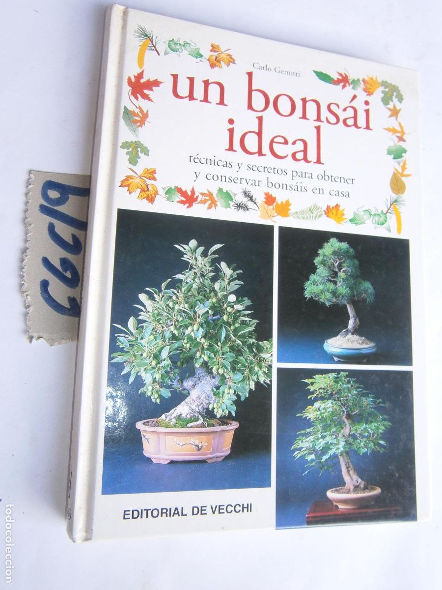 Libros de segunda mano: --- UN BONSAI IDEAL --- - Foto 1