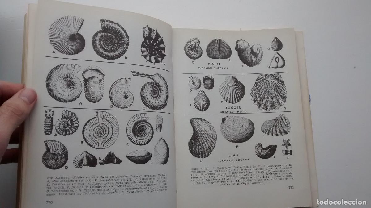 Libros de segunda mano: Geolog&iacute;a - Mel&eacute;ndez, Fuster - Foto 7
