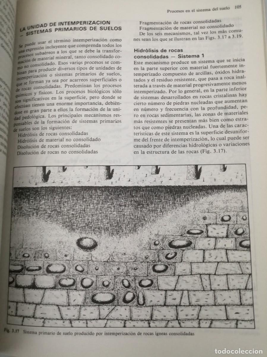 Libros de segunda mano: Suelos: Su formaci&oacute;n, clasificaci&oacute;n y distribuci&oacute;n - Foto 3