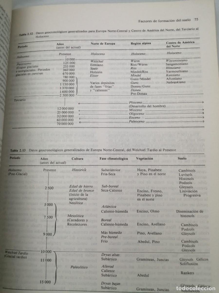 Libros de segunda mano: Suelos: Su formaci&oacute;n, clasificaci&oacute;n y distribuci&oacute;n - Foto 4
