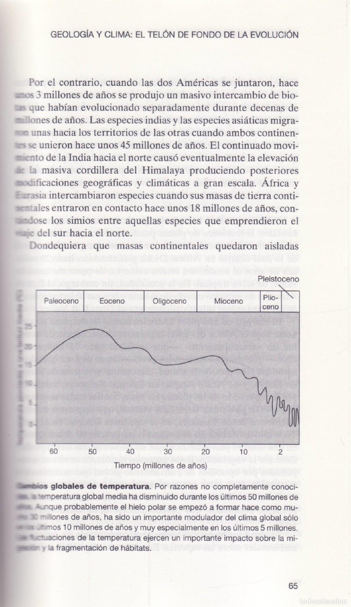 Libros de segunda mano: Evolucion humana - Lewin, Roger - Foto 3