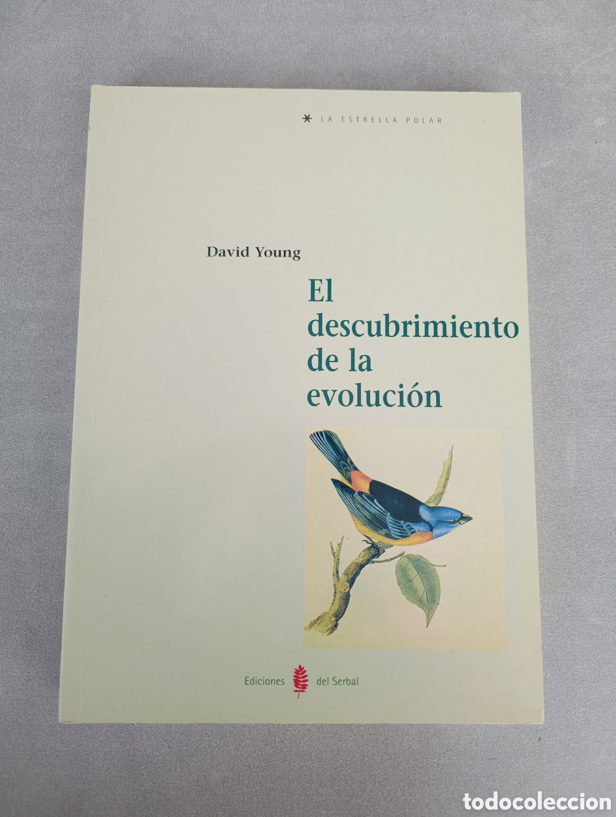 Libros de segunda mano: El descubrimiento de la evoluci&oacute;n. David Young - Foto 2