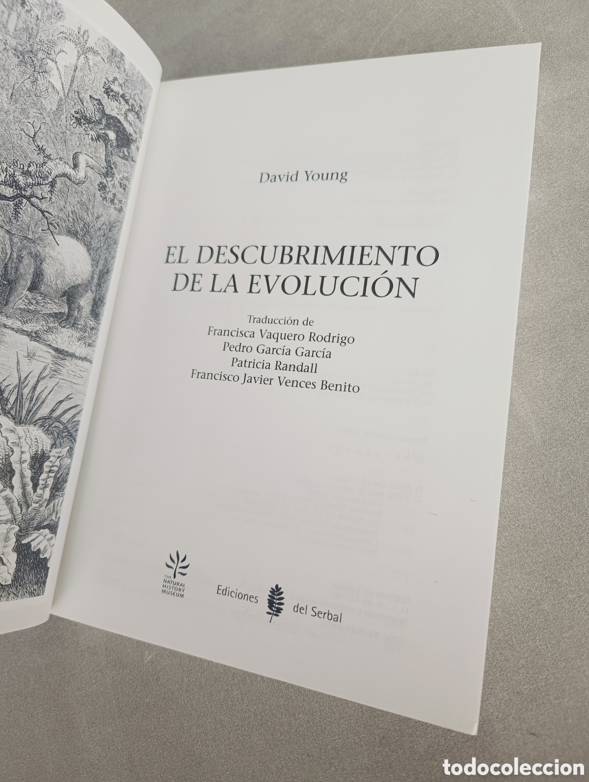 Libros de segunda mano: El descubrimiento de la evoluci&oacute;n. David Young - Foto 4