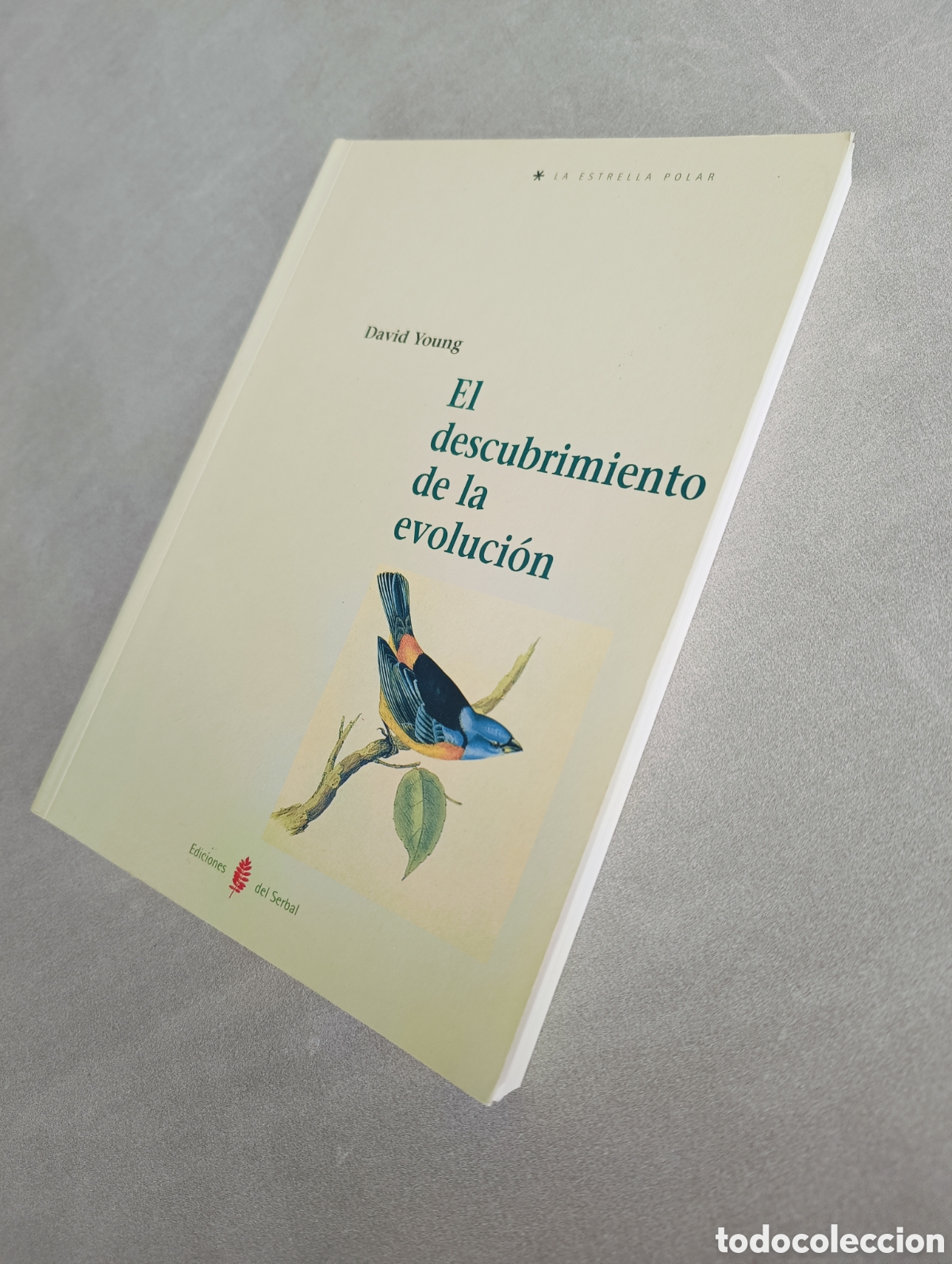Libros de segunda mano: El descubrimiento de la evoluci&oacute;n. David Young - Foto 6