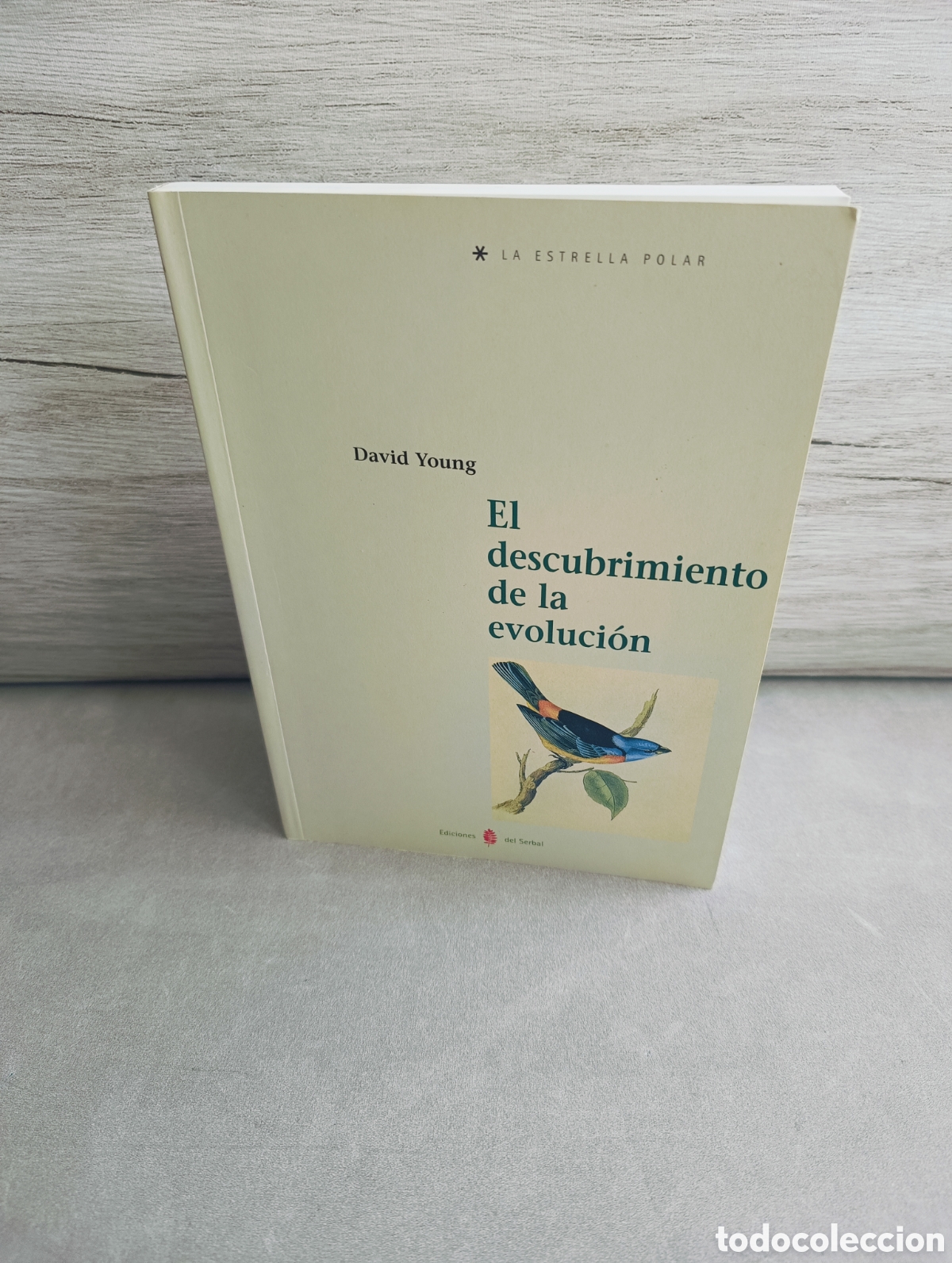 Libros de segunda mano: El descubrimiento de la evoluci&oacute;n. David Young - Foto 1
