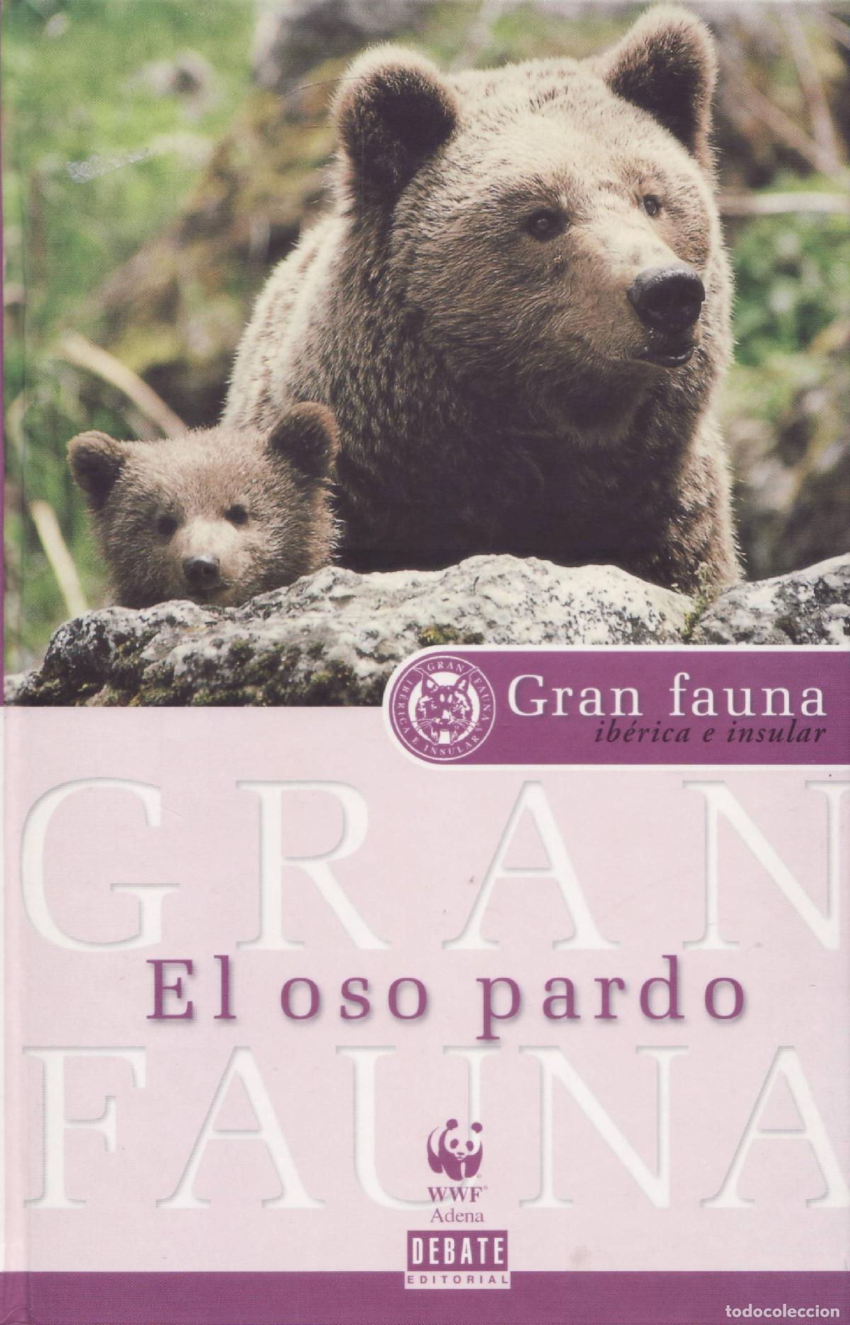 Libros de segunda mano: El oso pardo - Bartolome Zofio, Jorge - Foto 1