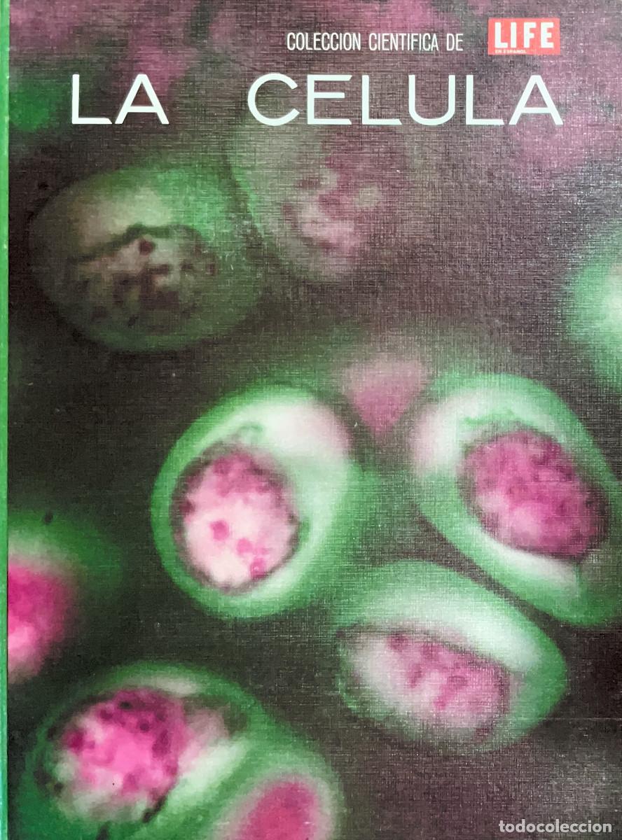Libros de segunda mano: FT0662. Libro: La c&eacute;lula. Colecci&oacute;n cientifica Life. Autor: Jonh Pfeiffer - Foto 1