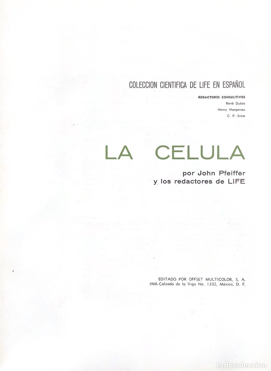 Libros de segunda mano: FT0662. Libro: La c&eacute;lula. Colecci&oacute;n cientifica Life. Autor: Jonh Pfeiffer - Foto 2