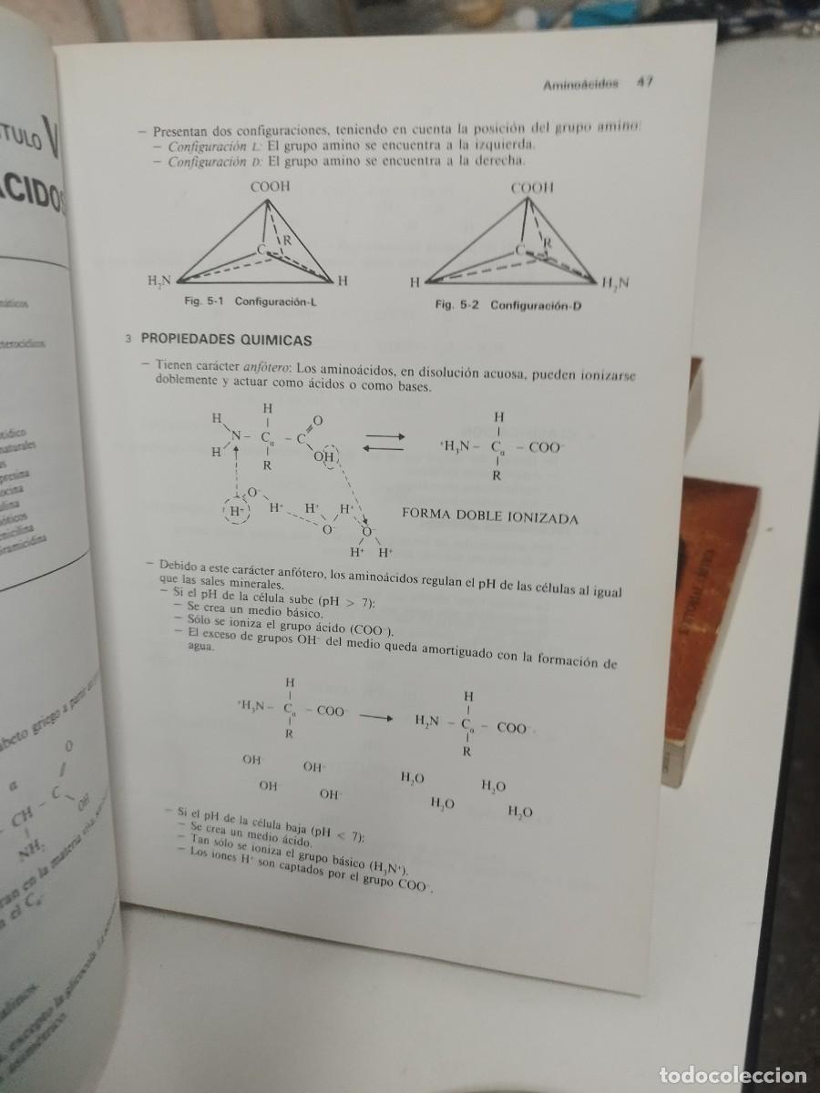 Libros de segunda mano: INTRODUCCION A LA BIOLOGIA MERCE DE BARBARA ED. OMEGA - Foto 3