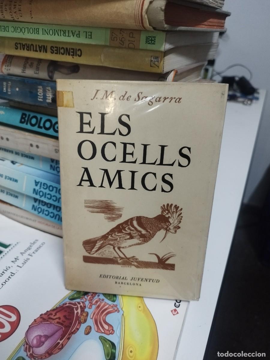 Libros de segunda mano: Els ocells amics J. M. de Sagarra - Foto 1