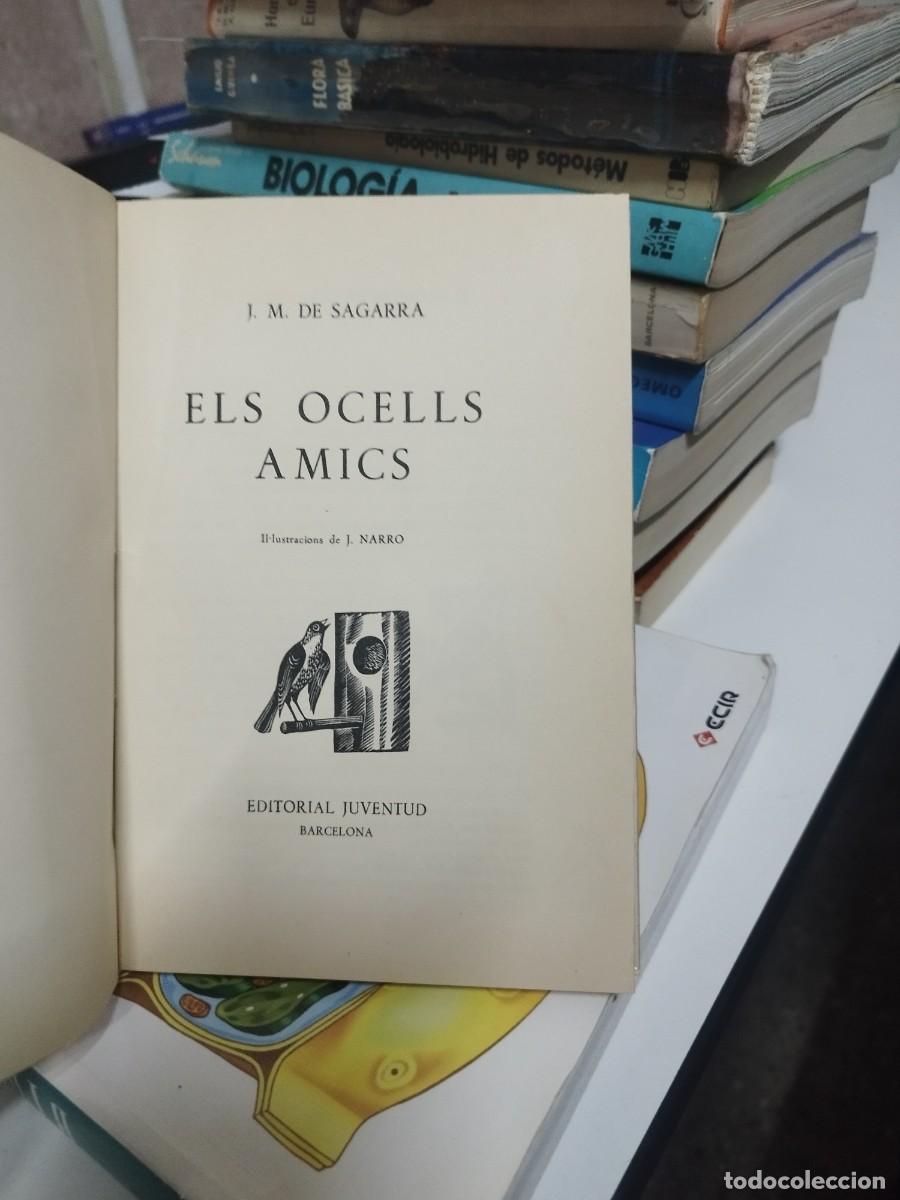 Libros de segunda mano: Els ocells amics J. M. de Sagarra - Foto 2