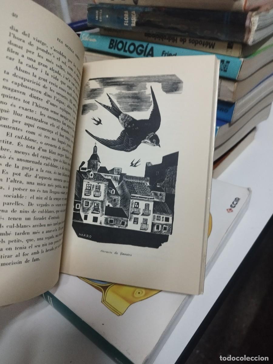 Libros de segunda mano: Els ocells amics J. M. de Sagarra - Foto 3