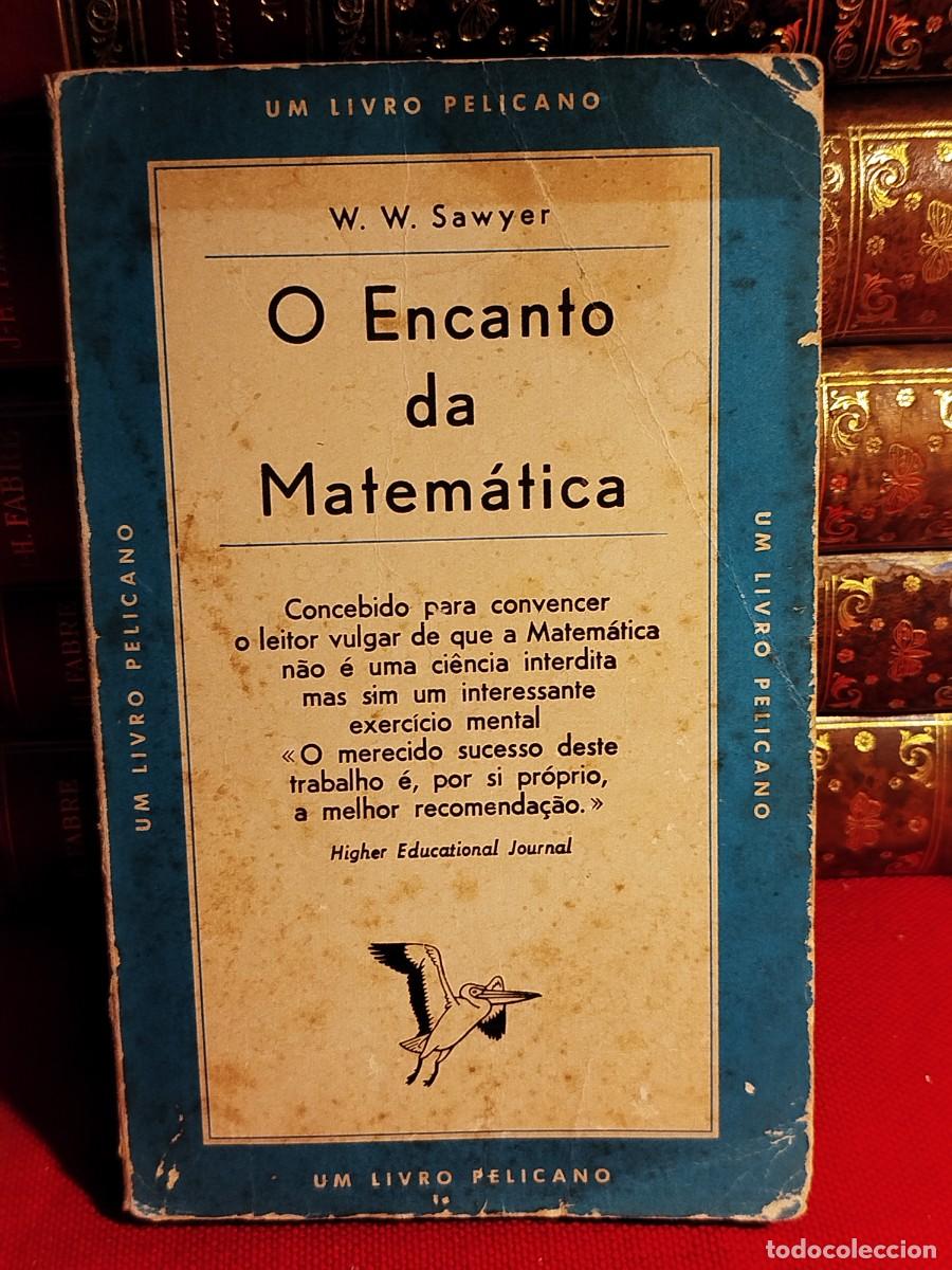 Libros de segunda mano de ciencias: O encanto da matem&aacute;tica. W. W. Sawyer. - Foto 1