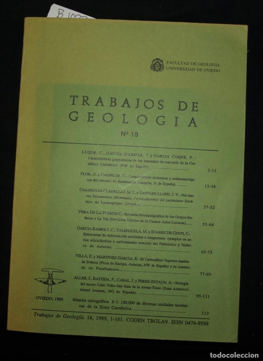 Libros de segunda mano: TRABAJOS DE GEOLOGIA N&ordm; 18 - Foto 1