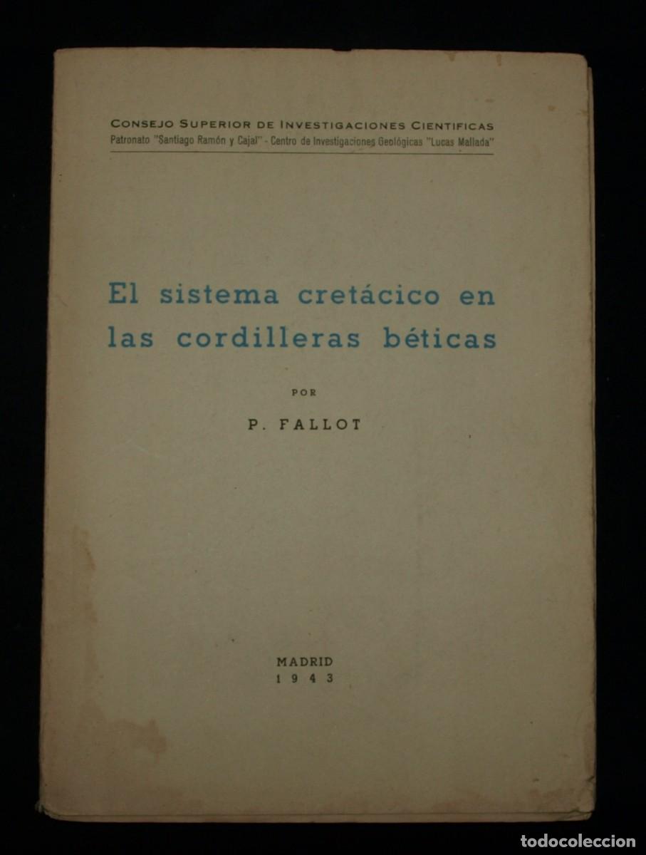 Libros de segunda mano: EL SISTEMA CRETACICO DE LAS CORDILLERAS BETICAS - Foto 1