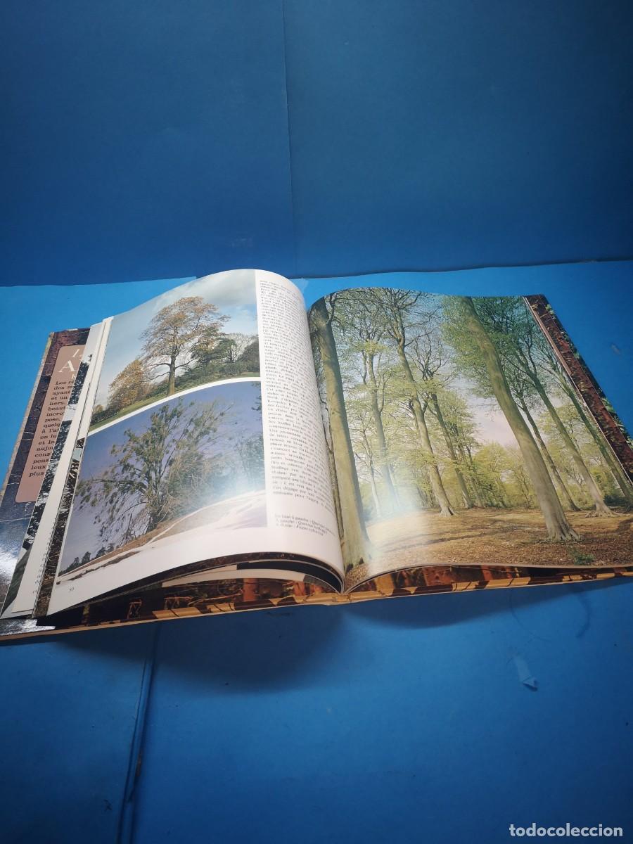 Libros de segunda mano: LA PASSION DES ARBRES.- KENNETH A. BECKETT - Foto 3