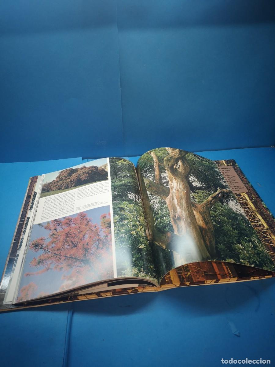 Libros de segunda mano: LA PASSION DES ARBRES.- KENNETH A. BECKETT - Foto 4