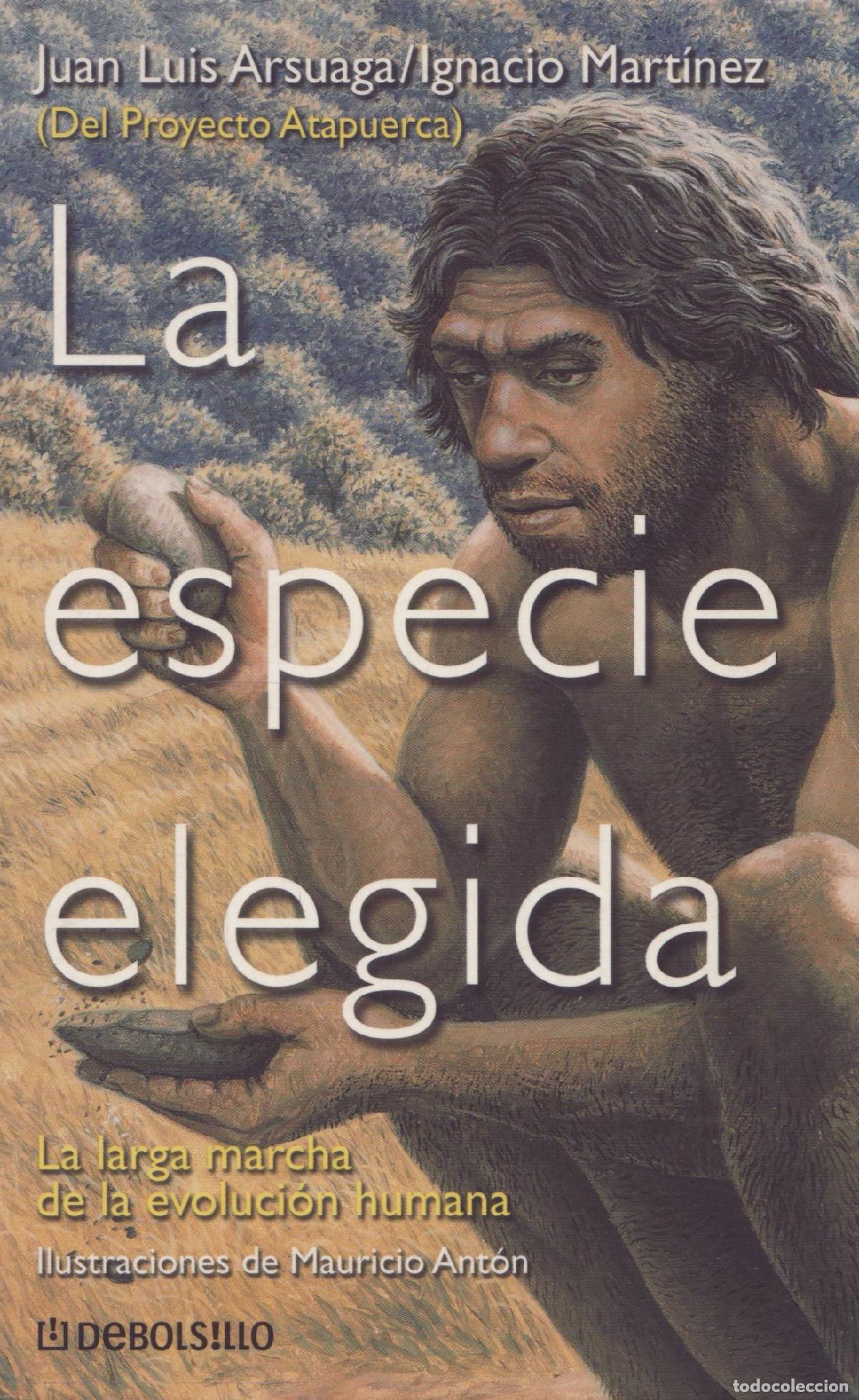 Libros de segunda mano: La especie elegida - Arsuaga, Juan Luis - Foto 1