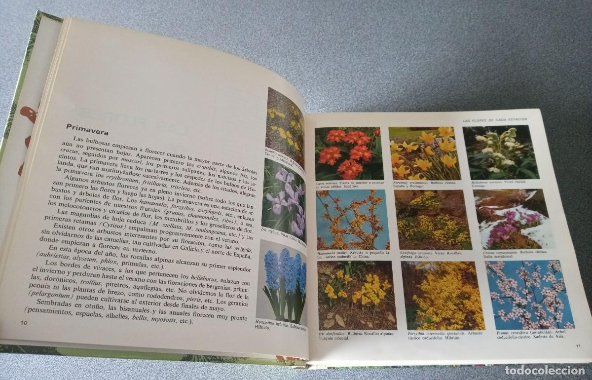 Libros de segunda mano: El Libro Del Jardin Y De La Terraza - Foto 8