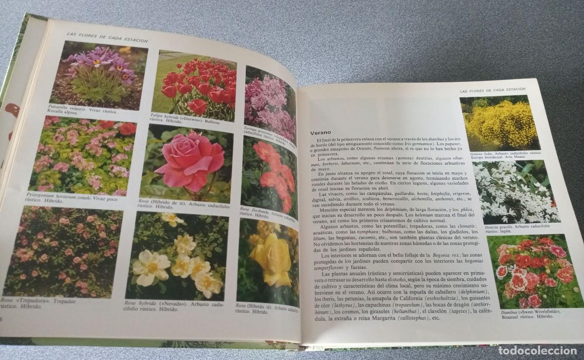 Libros de segunda mano: El Libro Del Jardin Y De La Terraza - Foto 9