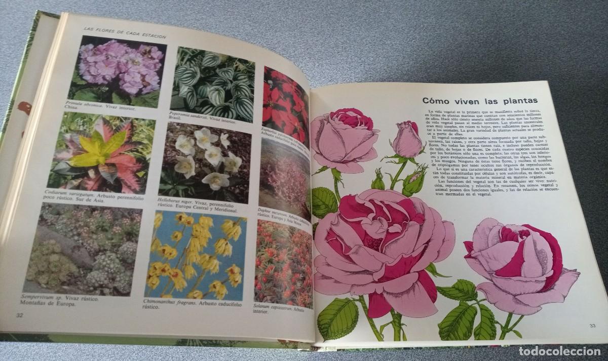 Libros de segunda mano: El Libro Del Jardin Y De La Terraza - Foto 10