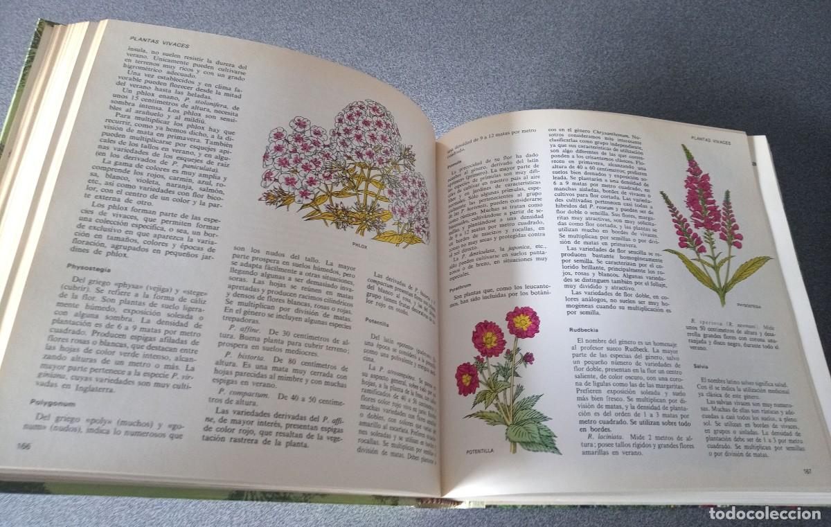Libros de segunda mano: El Libro Del Jardin Y De La Terraza - Foto 13
