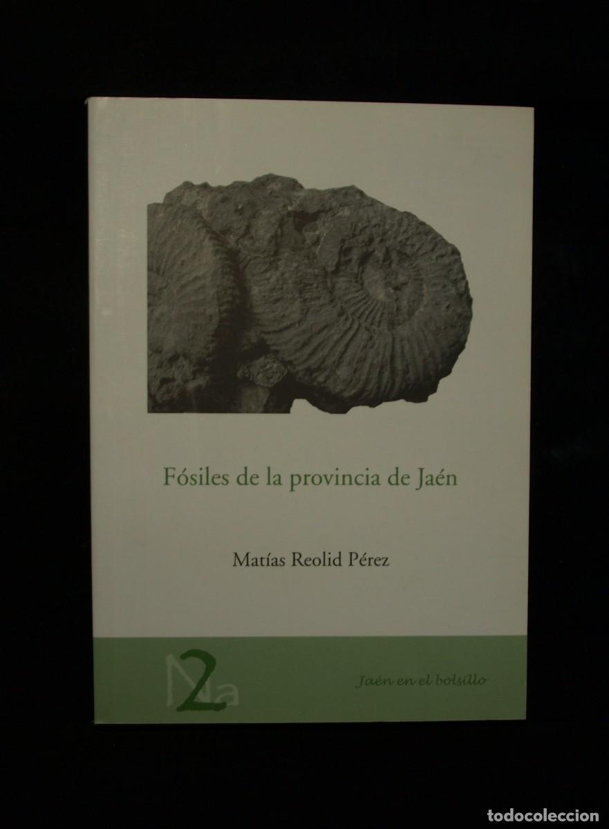 Libros de segunda mano: FOSILES DE LA PROVINCIA DE JAEN - Foto 1