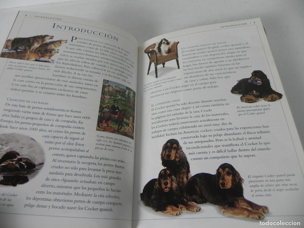 Libros de segunda mano: GU&Iacute;AS DE RAZAS DE PERROS (COCKER SPANIEL) - DR. BRUCE FOGLE - EDICIONES OMEGA-1997 - Foto 3