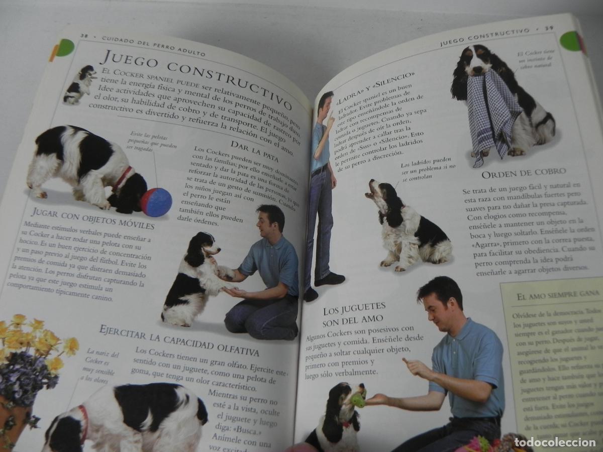 Libros de segunda mano: GU&Iacute;AS DE RAZAS DE PERROS (COCKER SPANIEL) - DR. BRUCE FOGLE - EDICIONES OMEGA-1997 - Foto 4