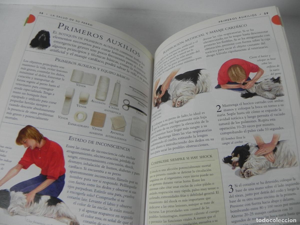 Libros de segunda mano: GU&Iacute;AS DE RAZAS DE PERROS (COCKER SPANIEL) - DR. BRUCE FOGLE - EDICIONES OMEGA-1997 - Foto 5