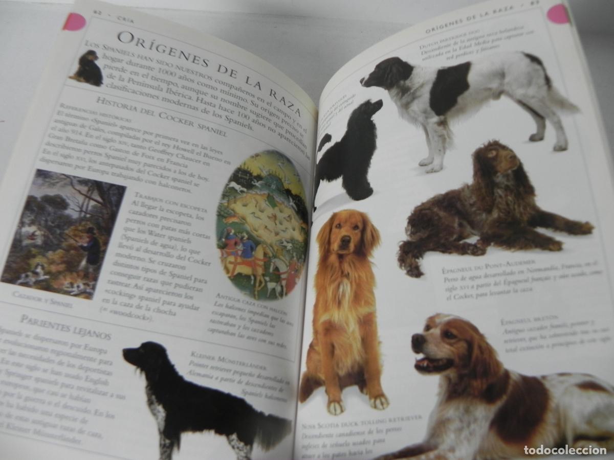 Libros de segunda mano: GU&Iacute;AS DE RAZAS DE PERROS (COCKER SPANIEL) - DR. BRUCE FOGLE - EDICIONES OMEGA-1997 - Foto 6