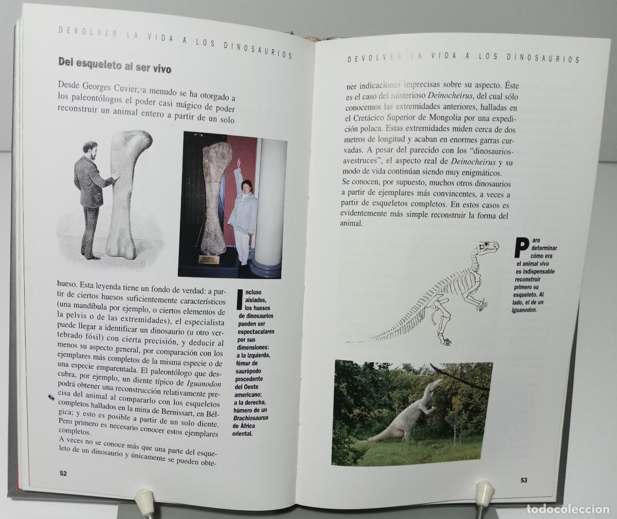 Libros de segunda mano: Tras la pista de los dinosaurios - Buffetaut, Eric - Foto 3
