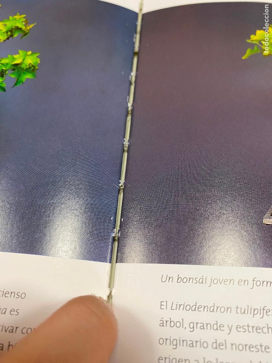 Libros de segunda mano: BONS&Aacute;IS - Hopes, Fiona - Foto 2