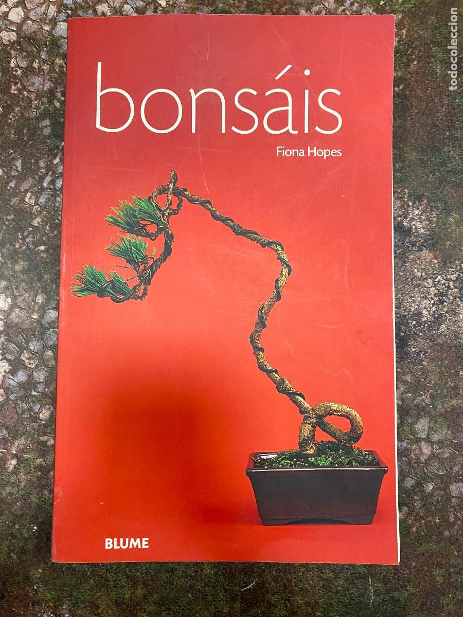 Libros de segunda mano: BONS&Aacute;IS - Hopes, Fiona - Foto 1