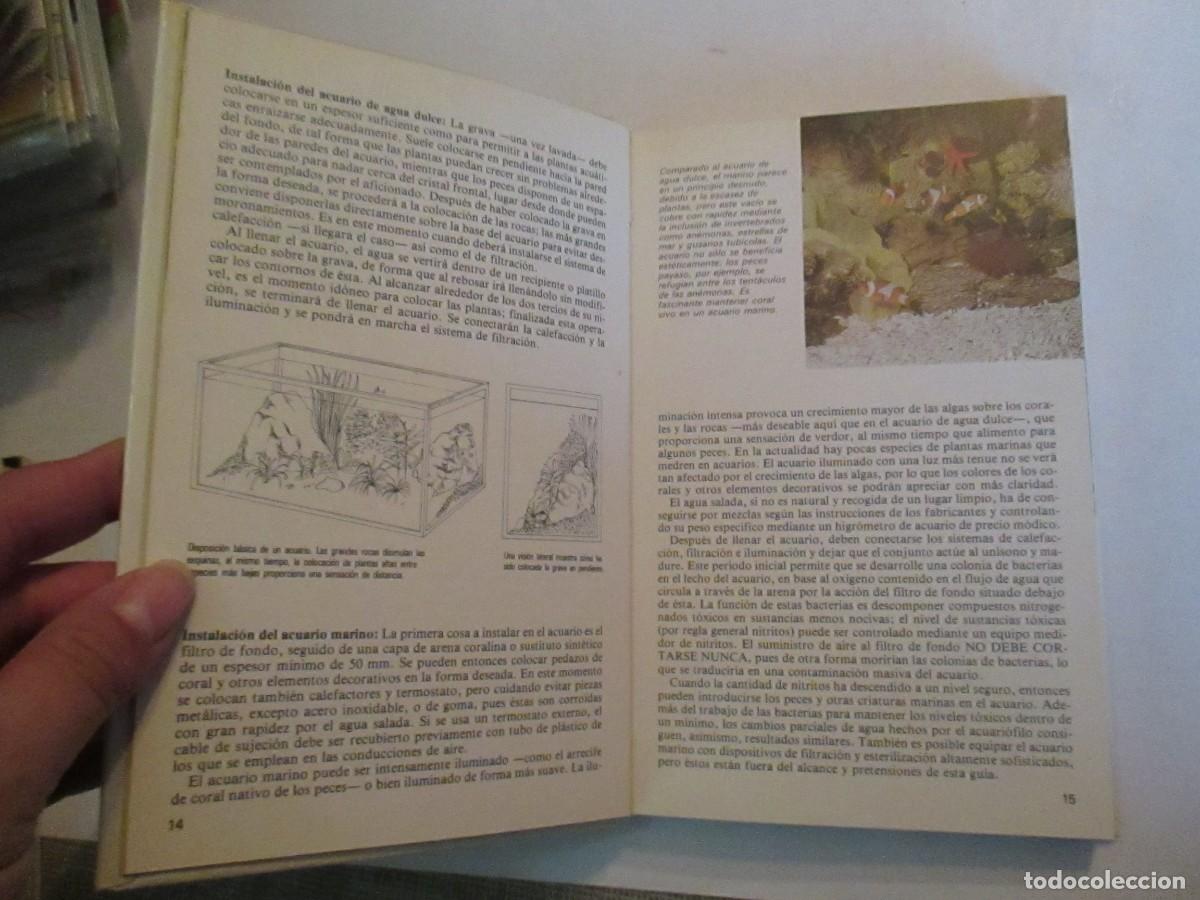 Libros de segunda mano: DICK MILLS Los peces de acuario W31589 - Foto 2
