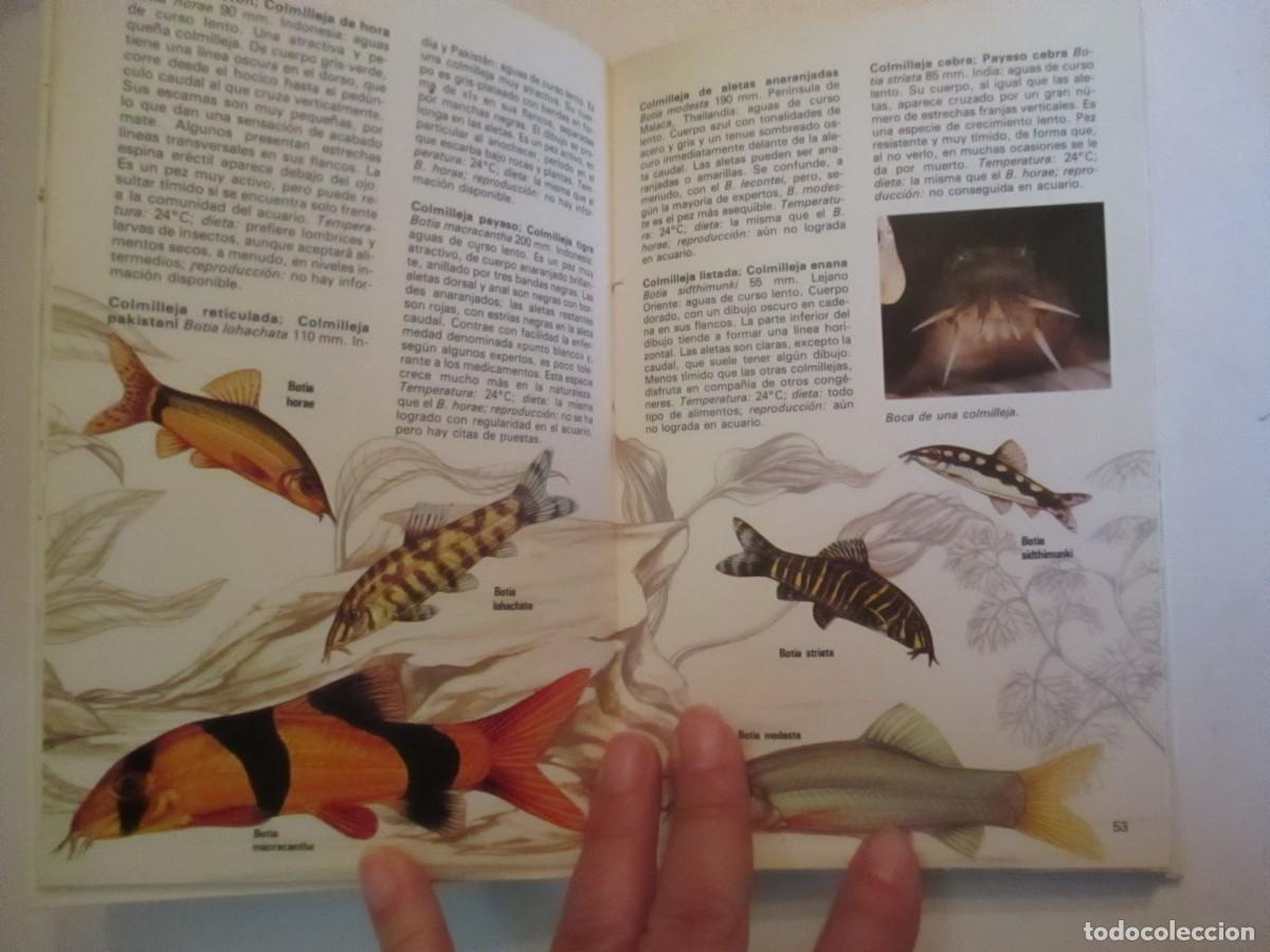 Libros de segunda mano: DICK MILLS Los peces de acuario W31589 - Foto 3
