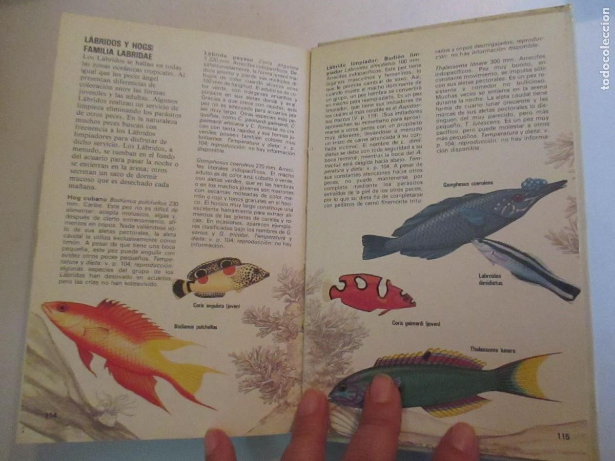 Libros de segunda mano: DICK MILLS Los peces de acuario W31589 - Foto 4