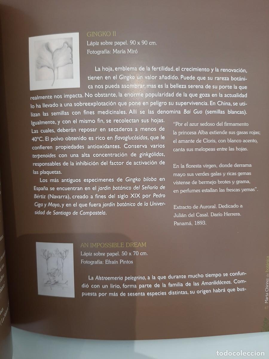 Libros de segunda mano: Marta Chirino: de bot&aacute;nica - Foto 2