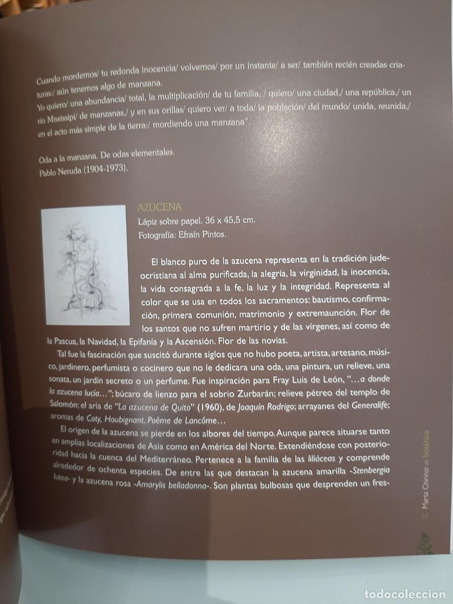 Libros de segunda mano: Marta Chirino: de bot&aacute;nica - Foto 3